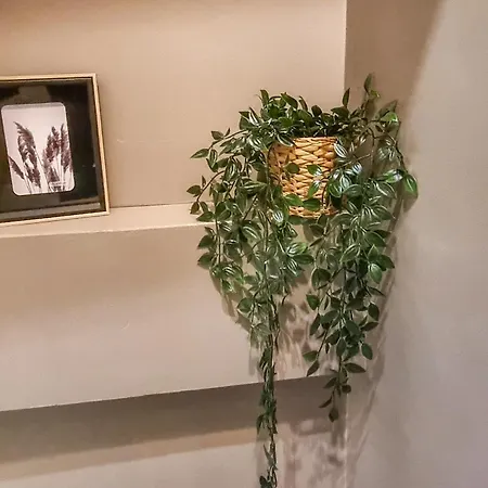 Le Saint-laurent Cocoon Design Coeur De Apartment