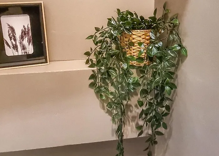 Le Saint-laurent Cocoon Design Coeur De Apartmán